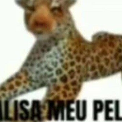 Avatar de AlisaMeuPelo