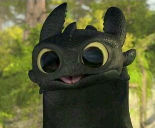 Avatar de Gui